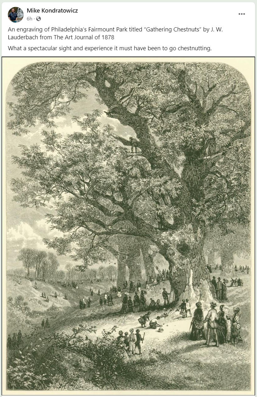 The meme is a humorous image of a 19th-century painting of a group of people gathered around a large tree, with a caption referencing the tree's name, "The Gathering of the Chestnuts". The text in the image is the title of the painting, "The Gathering of the Chestnuts".